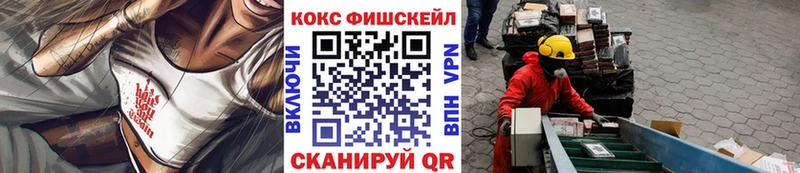 Купить закладки  Канск  COCAIN Fish Scale 