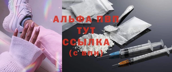 прущие грибы Кукмор