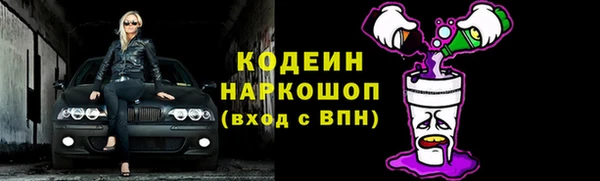 прущие грибы Кукмор