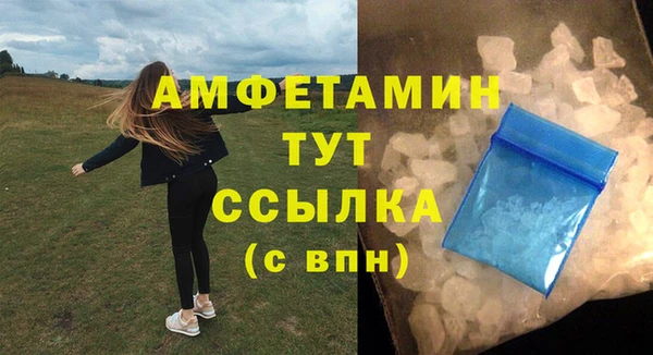 прущие грибы Кукмор
