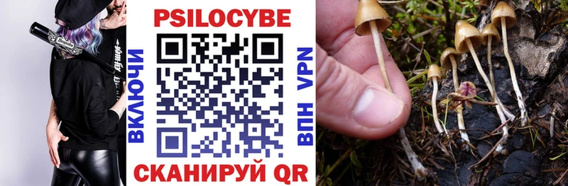 Купить где  Канск  Псилоцибиновые грибы GOLDEN TEACHER 